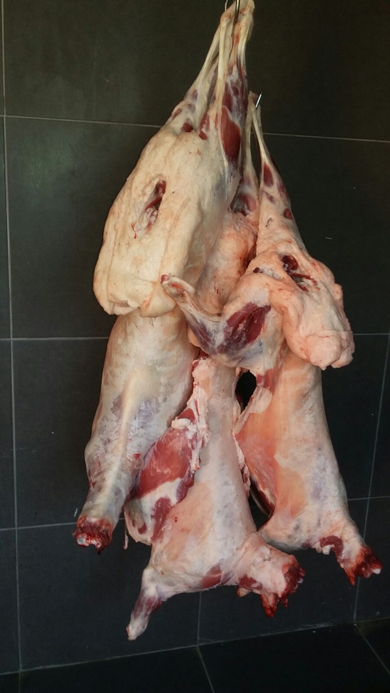 Sarıyer adak kurban