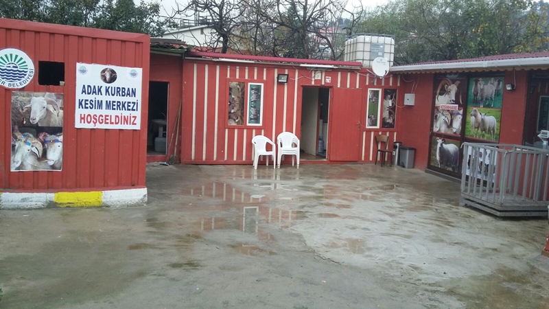 Sarıyer adak kurban