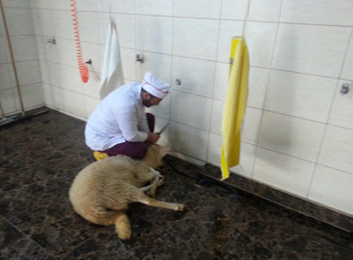 Sarıyer adak kurban