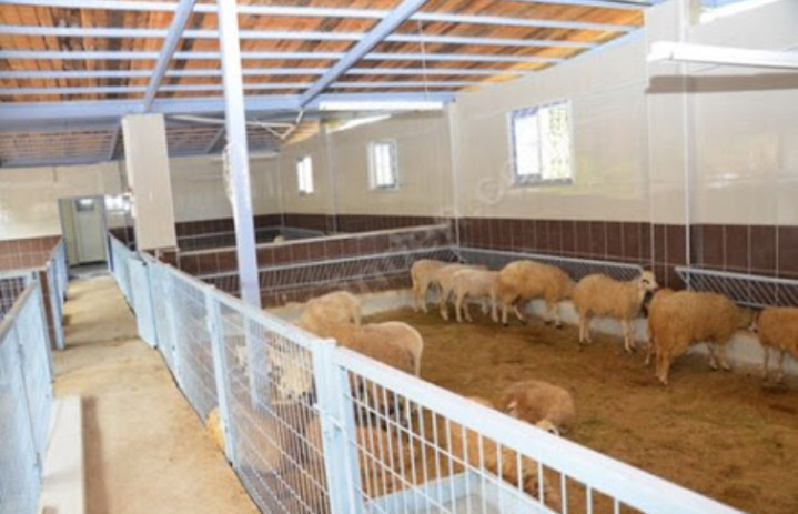 Sarıyer adak kurban