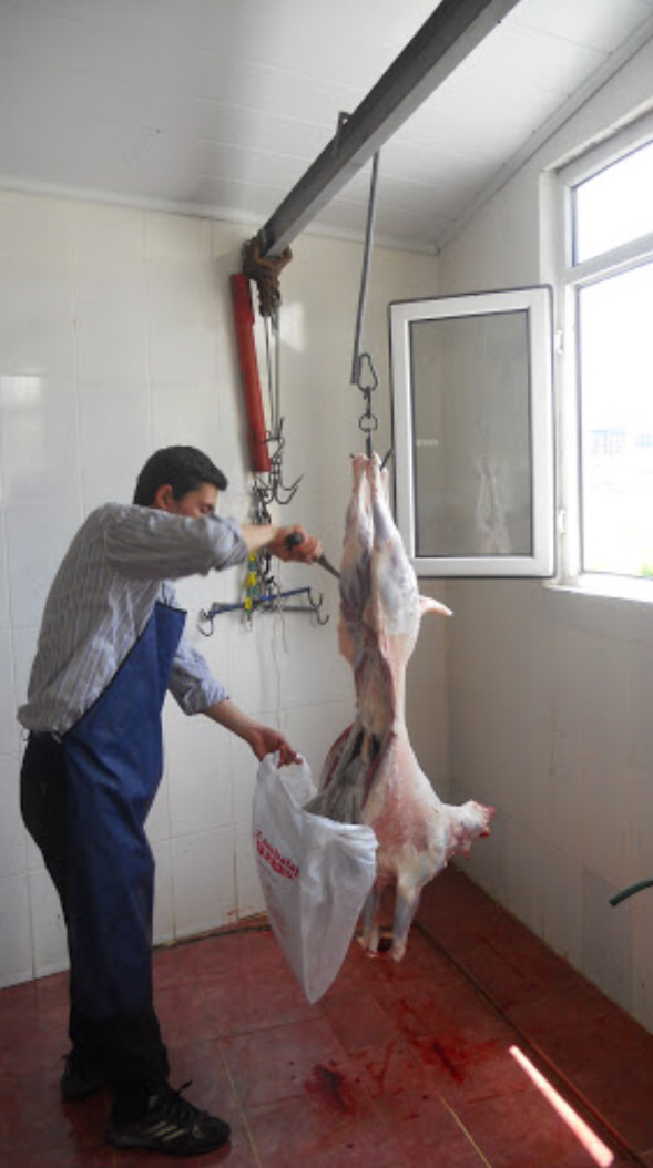 Sarıyer adak kurban