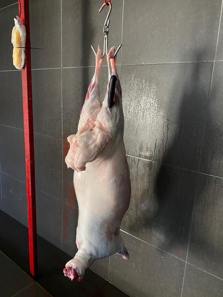 Sarıyer adak kurban