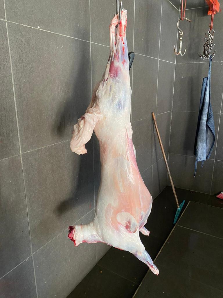 Sarıyer adak kurban