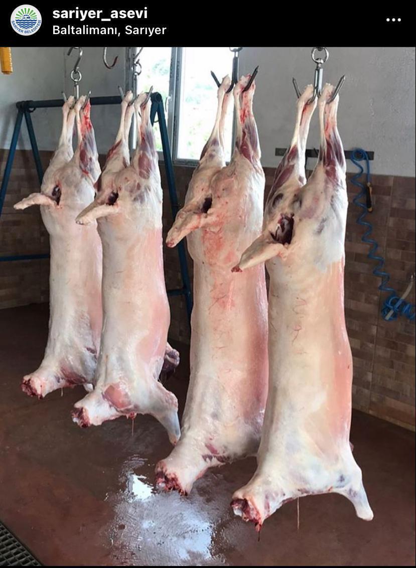 Sarıyer adak kurban