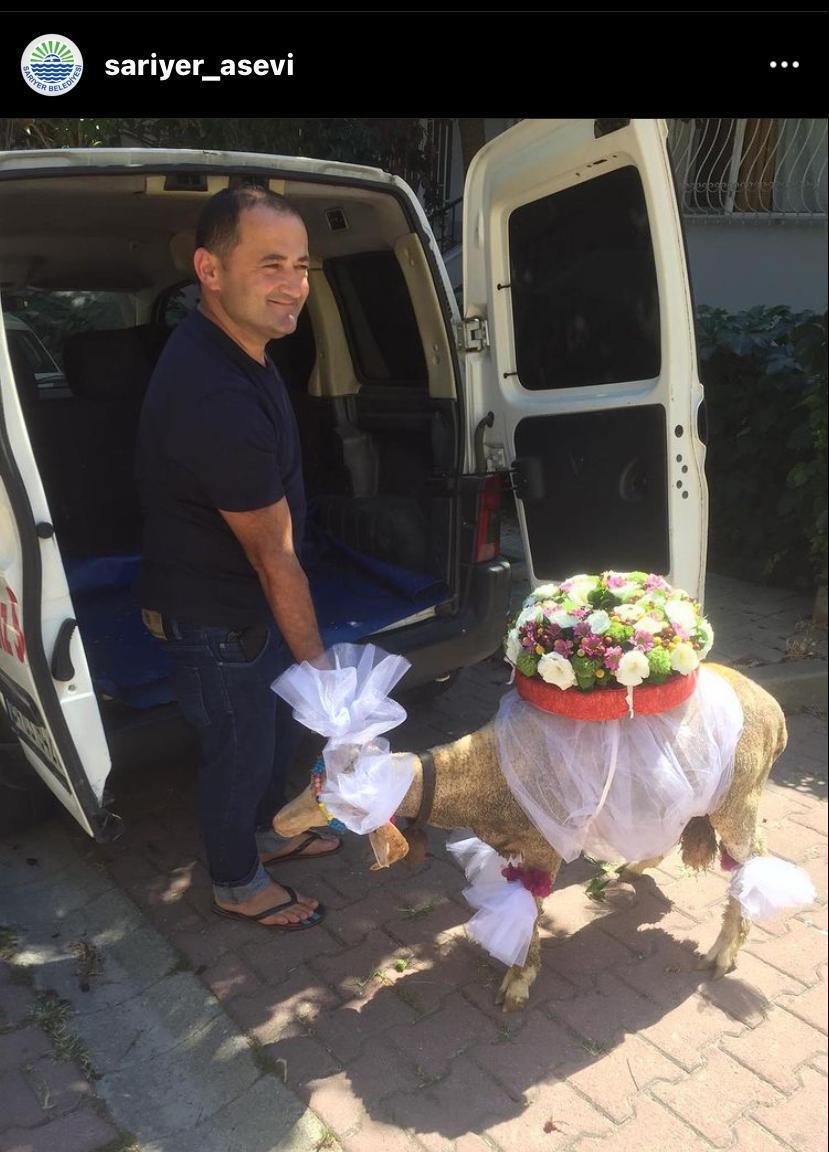 Sarıyer adak kurban