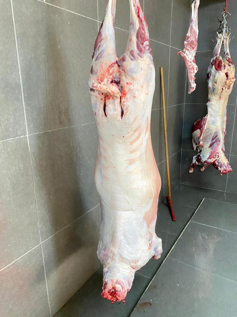 Sarıyer adak kurban