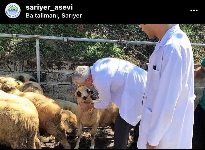 Sarıyer adak kurban