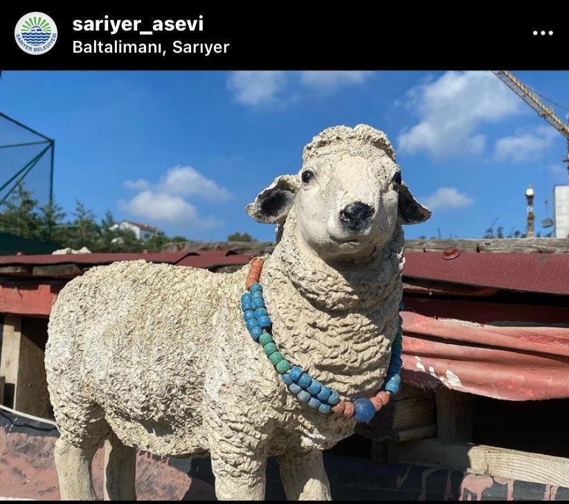 Sarıyer adak kurban