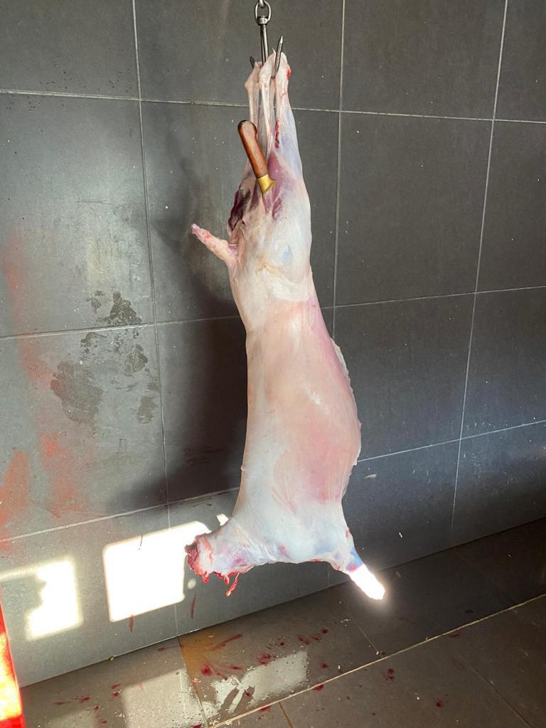 Sarıyer adak kurban