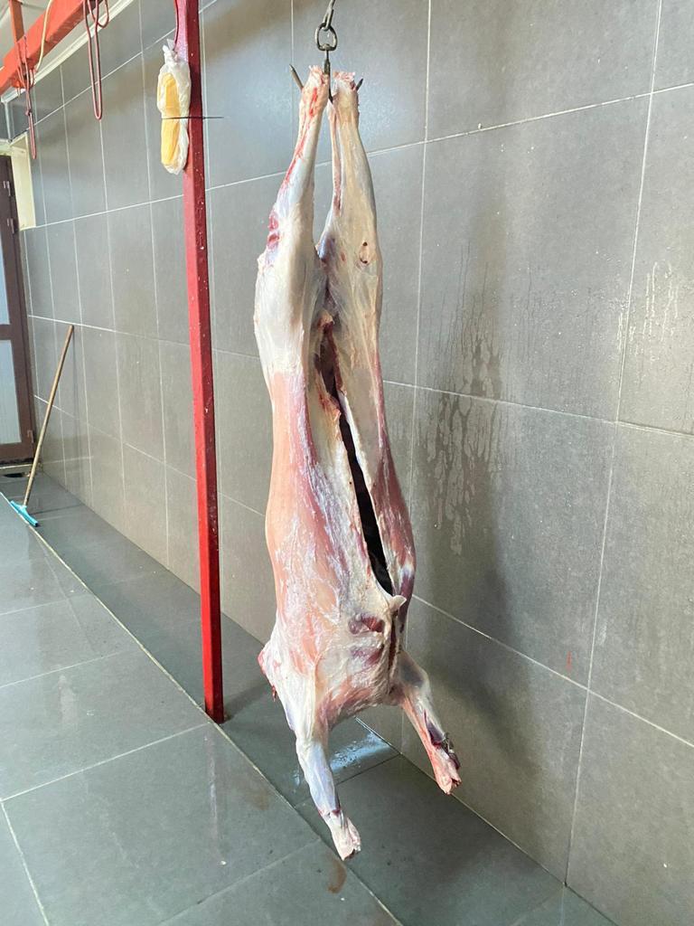 Sarıyer adak kurban